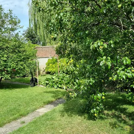 Avec Jardin, Animaux Acceptes - Fr-1-510-178