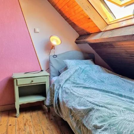 Avec Jardin, Animaux Acceptes - Fr-1-510-178 * カンブレー